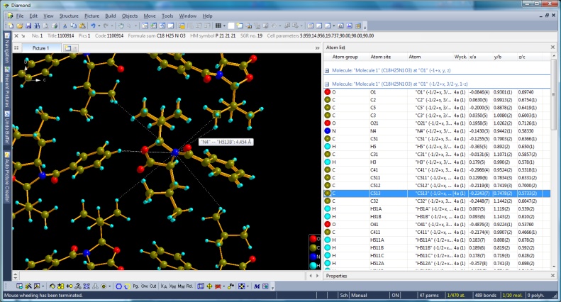 Screenshot of Diamond with atom list arranged by molecules